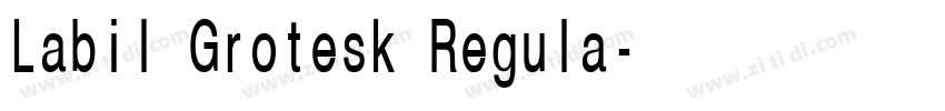 Labil Grotesk Regula字体转换